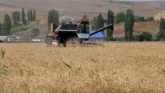 Аграрии Сулейман-Стальского района собирают озимый урожай